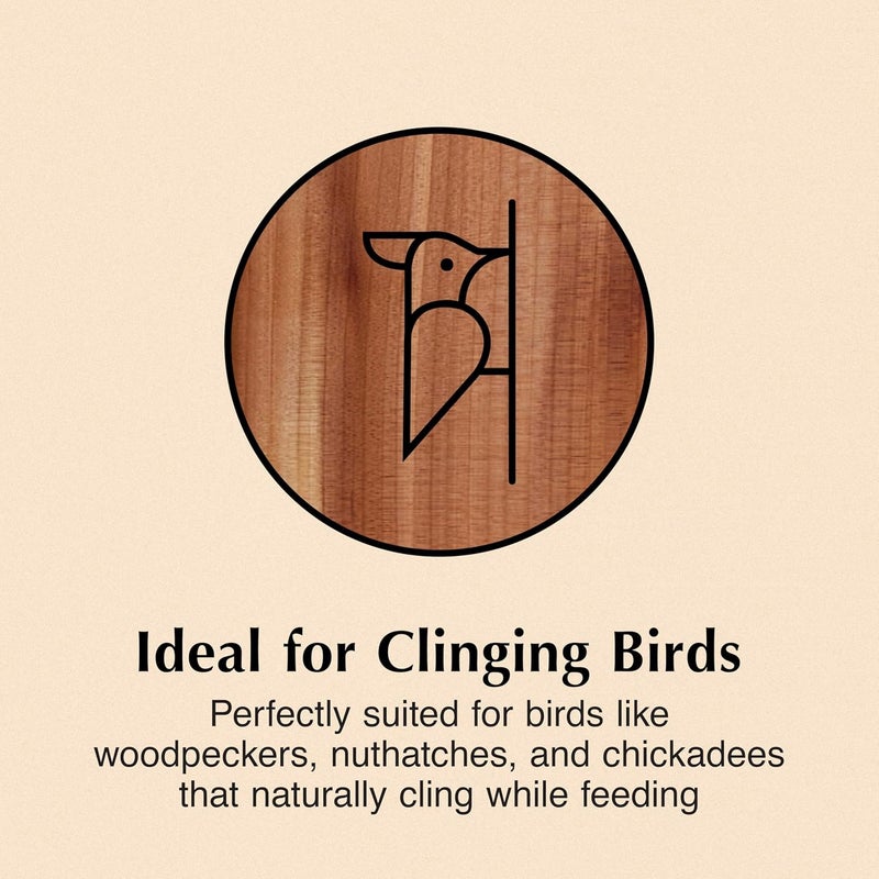 CS Wild Bird Food Suet Plug Wood Feeder - Image 3